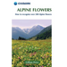 Alpine Flowers: How to Recognize Over 200 Alpine Flowers