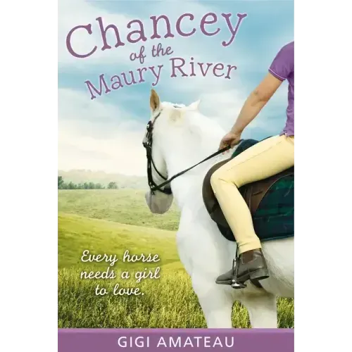 Chancey: Horses of the Maury River Stables