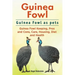 Guinea Fowl. Guinea Fowl as pets. Guinea Fowl Keeping, Pros and Cons, Care, Housing, Diet and Health.