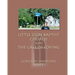 Little Zion Baptist Church and The Case of Loving
