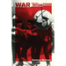 War and an Irish Town