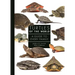 Turtles of the World: A Guide to Every Family