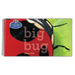 Big Bug: Storytime Together