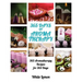 Aromatherapy: 365 Days of Aromatherapy (Aromatherapy Recipes Guide Books For Beginners and Everyone, Aromatherapy for Weight Loss, E