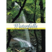 Waterfalls of the Smokies