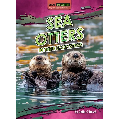 Sea Otters in Their Ecosystems