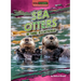 Sea Otters in Their Ecosystems