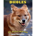 Dholes: The Asiatic Wild Dog