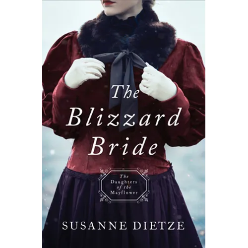 The Blizzard Bride: Daughters of the Mayflower #11