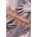 Let's Date Together: A Companion for the Sexually Adventurous Couple