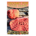 Crochet for Your Home: 20 Baskets, Lapthrows, and Dishcloths Patterns: (Crochet Patterns, Crochet Stitches)