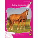 Baby Animals