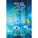 Healing the Woman's Soul: An Interactive Study for Women