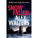 Snow Fallen