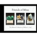 Friends of Mine: the Mineral Collection of Milton L. Leet