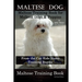 Maltese Dog, Maltese Training Book for Maltese Dogs & Puppies By D!G THIS DOG Training, From the Car Ride Home Training Begins, Maltese Training Book