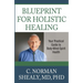 Blueprint for Holistic Healing: Your Practical Guide to Body-Mind-Spirit Health