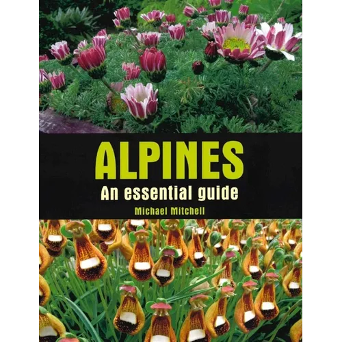 Alpines: An Essential Guide