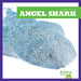 Angel Shark