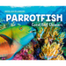 Parrotfish: Coral Reef Cleaners: Coral Reef Cleaners