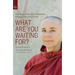 What Are You Waiting For?: A Conversation about Buddhism Between Two Old Friends