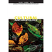 Cultural Anthropology: Journal of the Society for Cultural Anthropology (Volume 31, Number 1, February 2016)