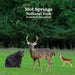 Hot Springs National Park Animals and Attractions Kids Book: Great book for children about the animals and attractions in Hot Springs national park