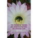 The Paradox of Trauma and Growth in Pastoral and Spiritual Care: Night Blooming