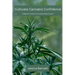 Cultivate Cannabis Confidence: A Beginner's Guide to Successful Weed Growth