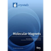 Molecular Magnets