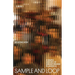 Sample and Loop: A Simple History of Singaporeans in America