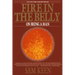 Fire in the Belly: On Being a Man