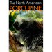 The North American Porcupine