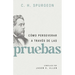 Cómo Perseverar a Través de Las Pruebas