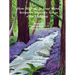 How Majestic Is Your Word: Scripture Memory Songs for Children