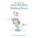 The Story of Little Big Blue Walking Shoes