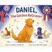 Daniel, the Golden Retriever