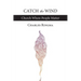 Catch the Wind