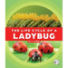The Life Cycle of a Ladybug