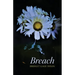 Breach