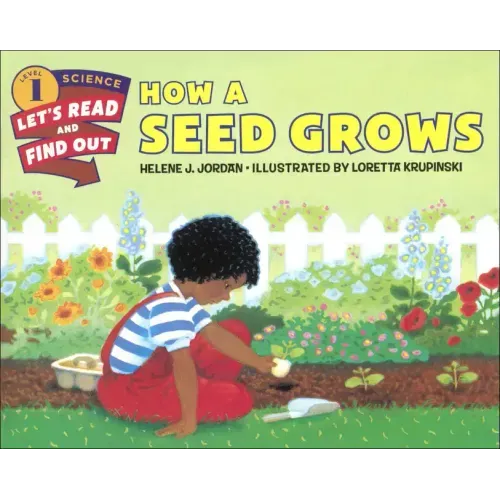 How a Seed Grows