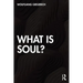 What Is Soul?