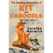 The Amazing Adventures of Kit and Caboodle: Two Cool Cats