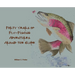 Forty Years of Fly-Fishing Adventures Around the Globe