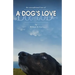 A Dog's Love: the unconditional love of a dog's love
