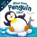 What Does Penguin Like? (Touch & Feel): Touch & Feel Board Book