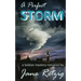 A Perfect Storm: A Lesbian Mystery Romance
