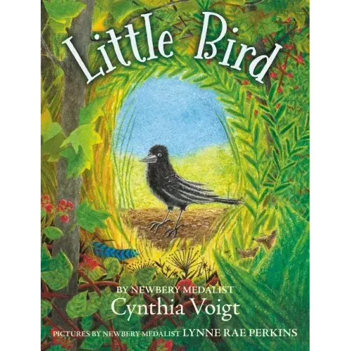 Little Bird