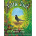 Little Bird