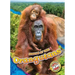 Orangutans